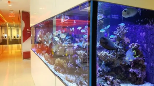 j_b61Ud018svcegdxjgmx8lc6_ehfmr1.jpg?type=w520