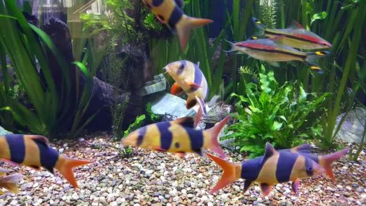 3_e60Ud018svc1vmmv26u16z6e_ehfmr1.jpg?type=w520