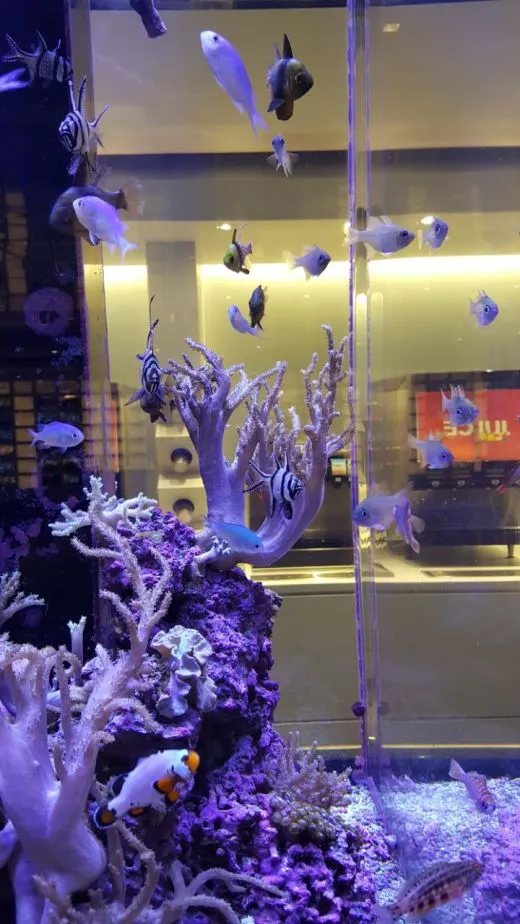 j_b61Ud018svch02w4ea4wyy2_ehfmr1.jpg?type=w520