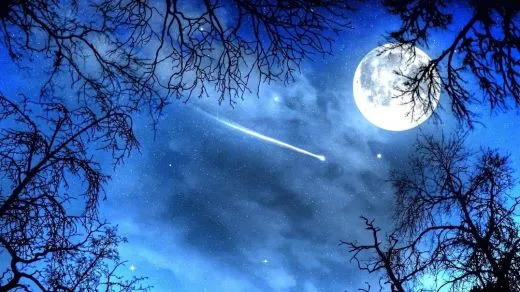 1_h1cUd018svc8mzej7v3dpzj_ehfmr1.jpg?type=w520