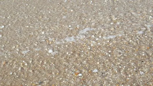 1_jgfUd018svc8lg3rlsy423m_ehfmr1.jpg?type=w520