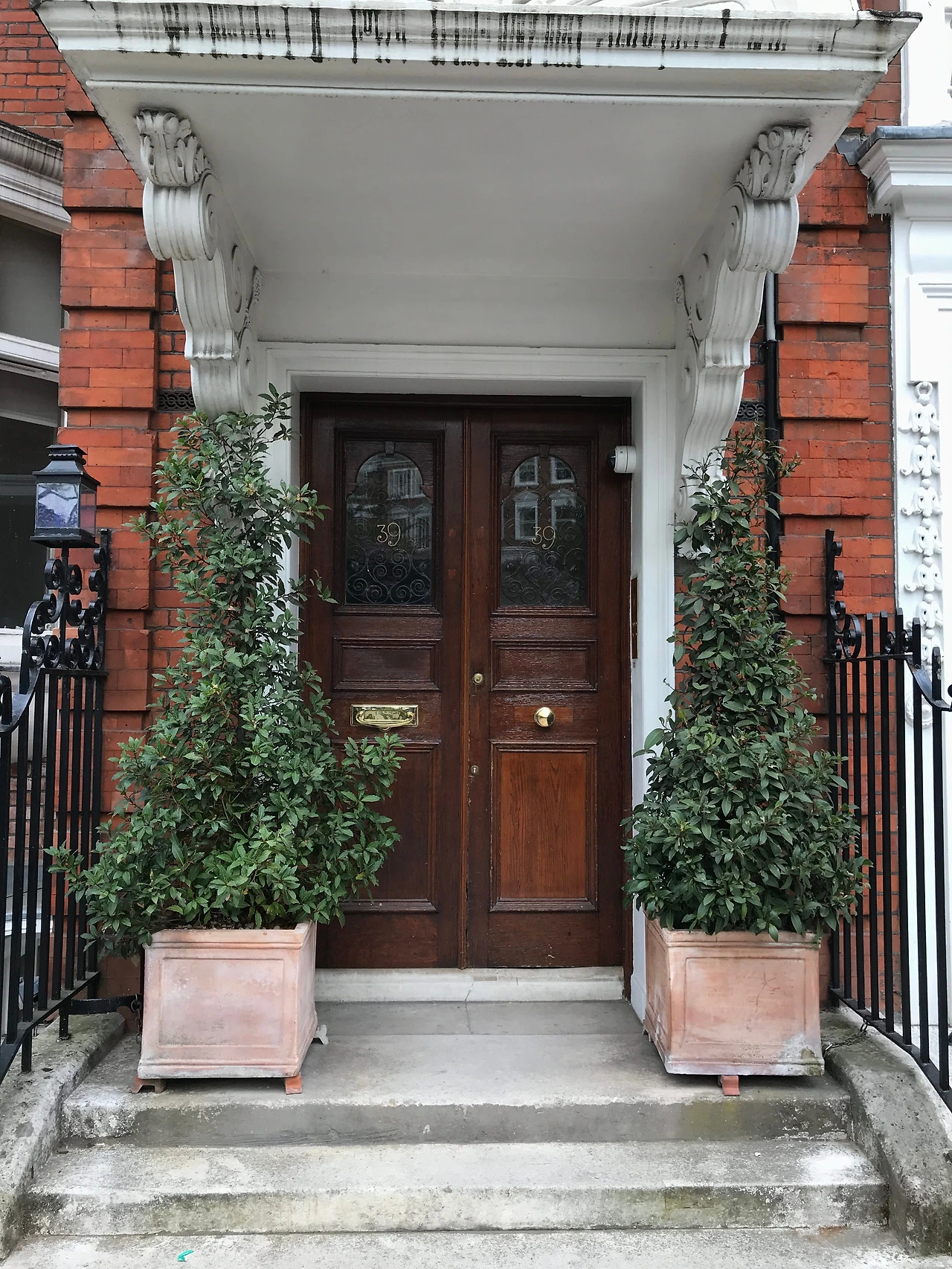 현관화분 3.JPG