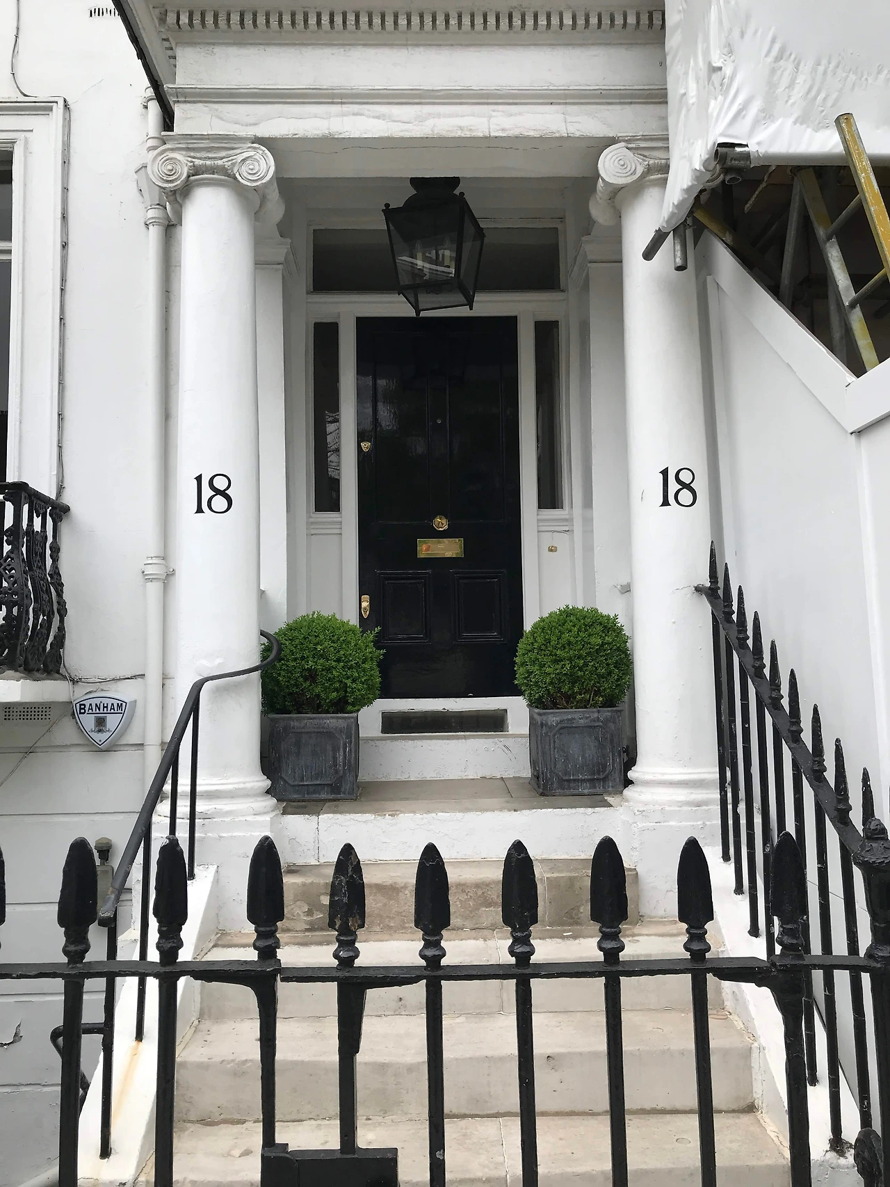 현관화분 6.JPG