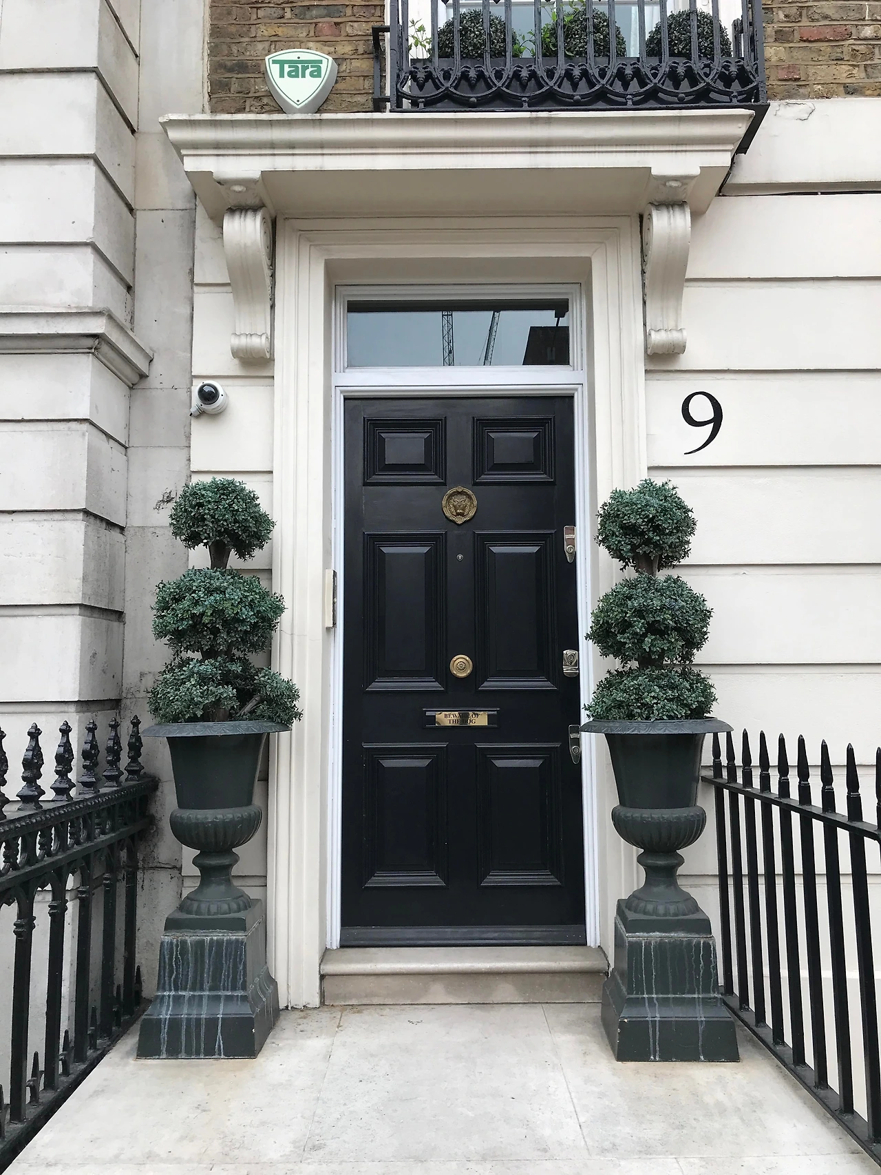 현관화분 1.JPG