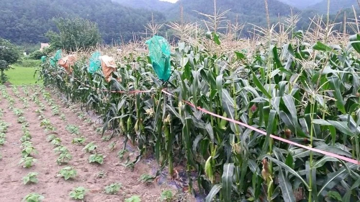 11220470_847332218653652_2452341675892929154_n.jpg?type=w2