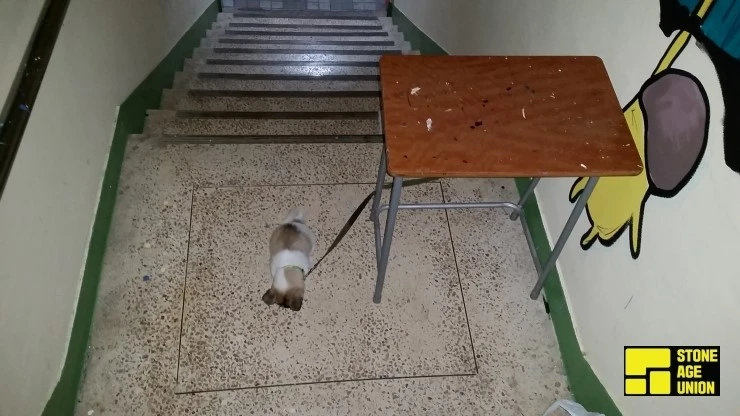 20151012_182853.jpg?type=w966