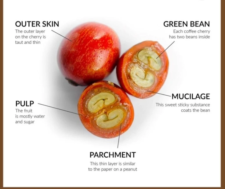 e8d2305d866de887b3dc2f401052f8115f981452.jpg?type=w773