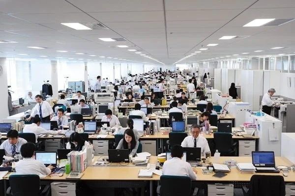 92ad191120337d124b5d8252a525667e_11329541775.jpg?type=w800