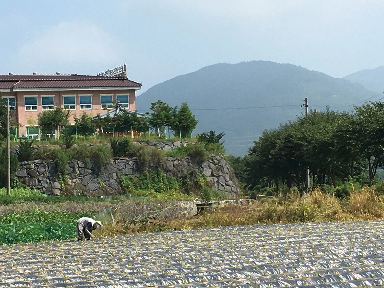 다운로드 (2).jpeg