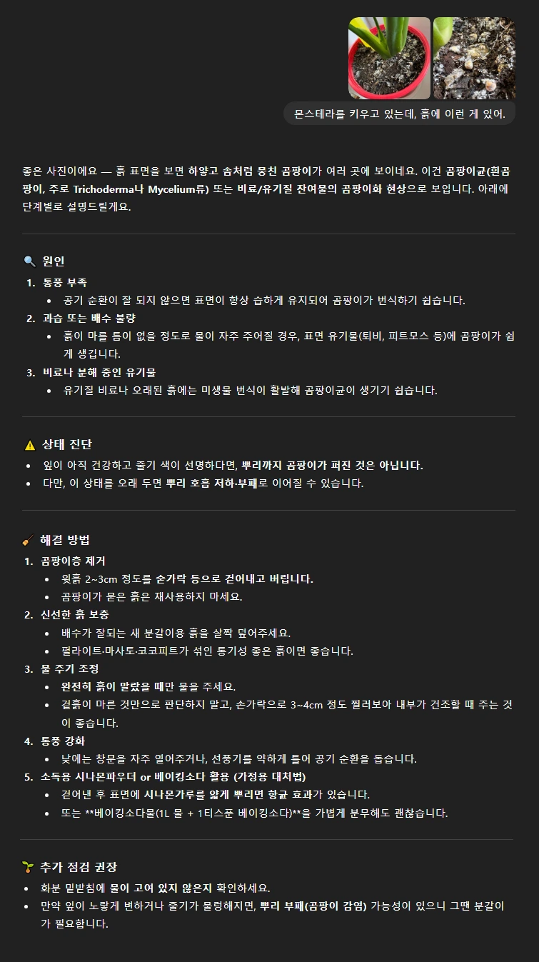 KakaoTalk_20251101_110854607.png?type=w1