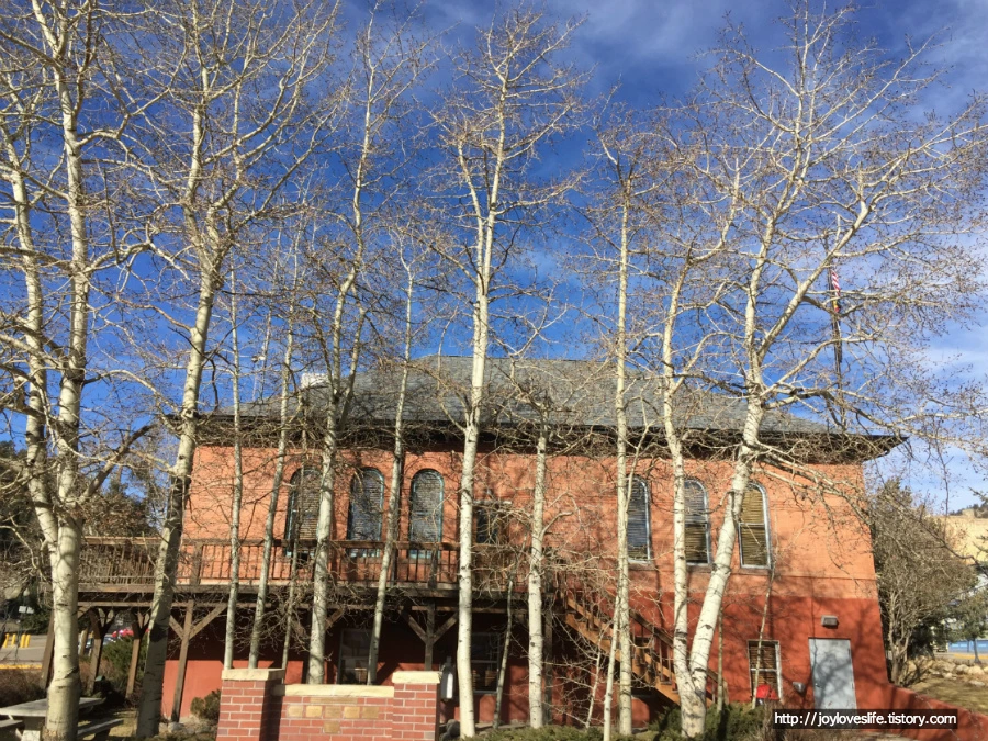 99B233375ABD8C582FA87A