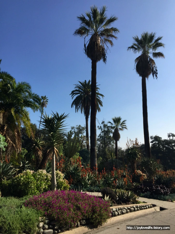 9999D7455AAB19A421A5C8