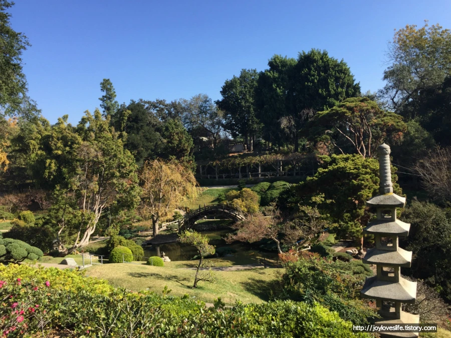 998909455AAB19AC228BC4