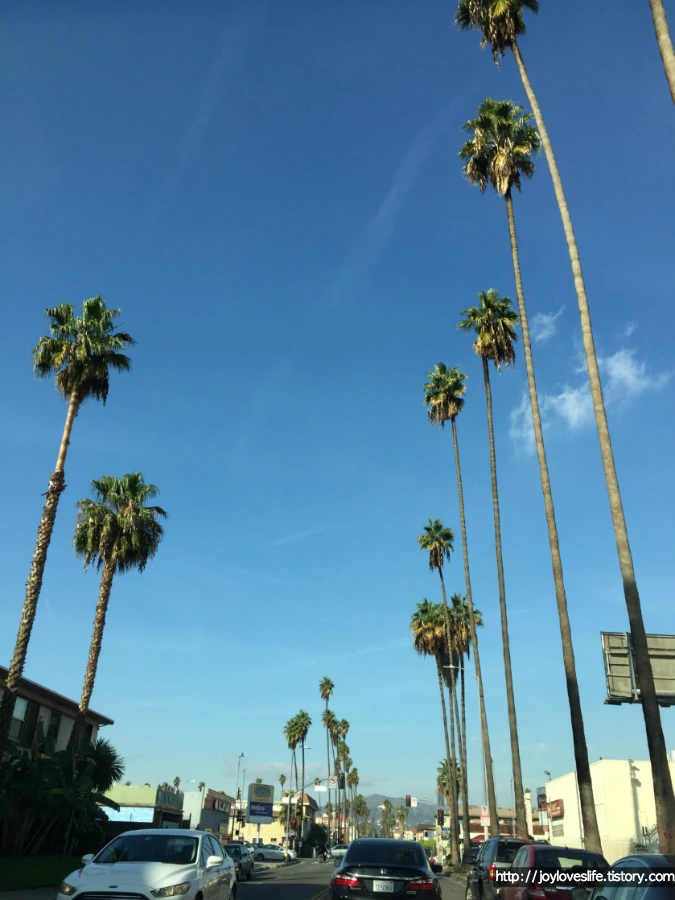 993EED465AAAFF5321A636