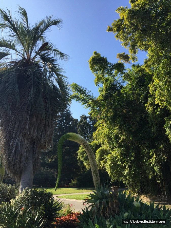 998229455AAB19A0229A55