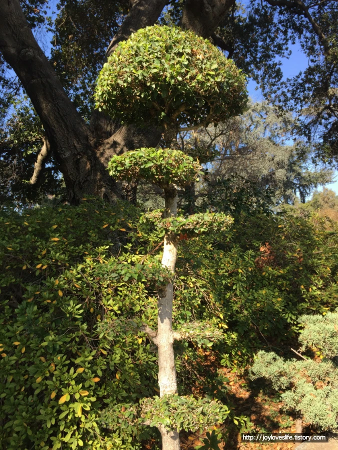 99DB9A455AAB19A81FE169