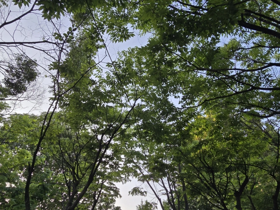 900%EF%BC%BF20250603%EF%BC%BF190737.jpg?type=w3840