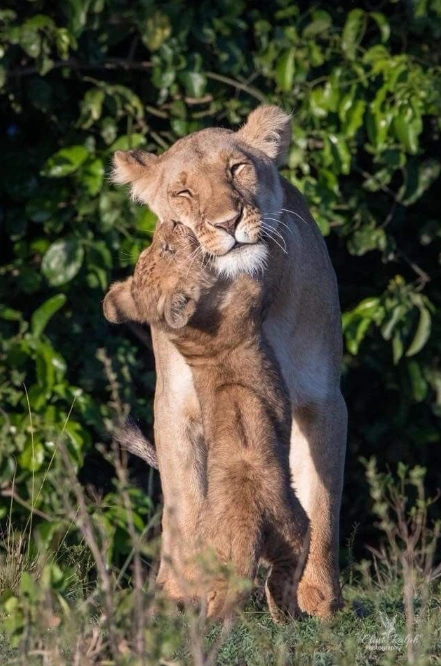 GrrX7rdXcAAbm5L?format=png&name=small