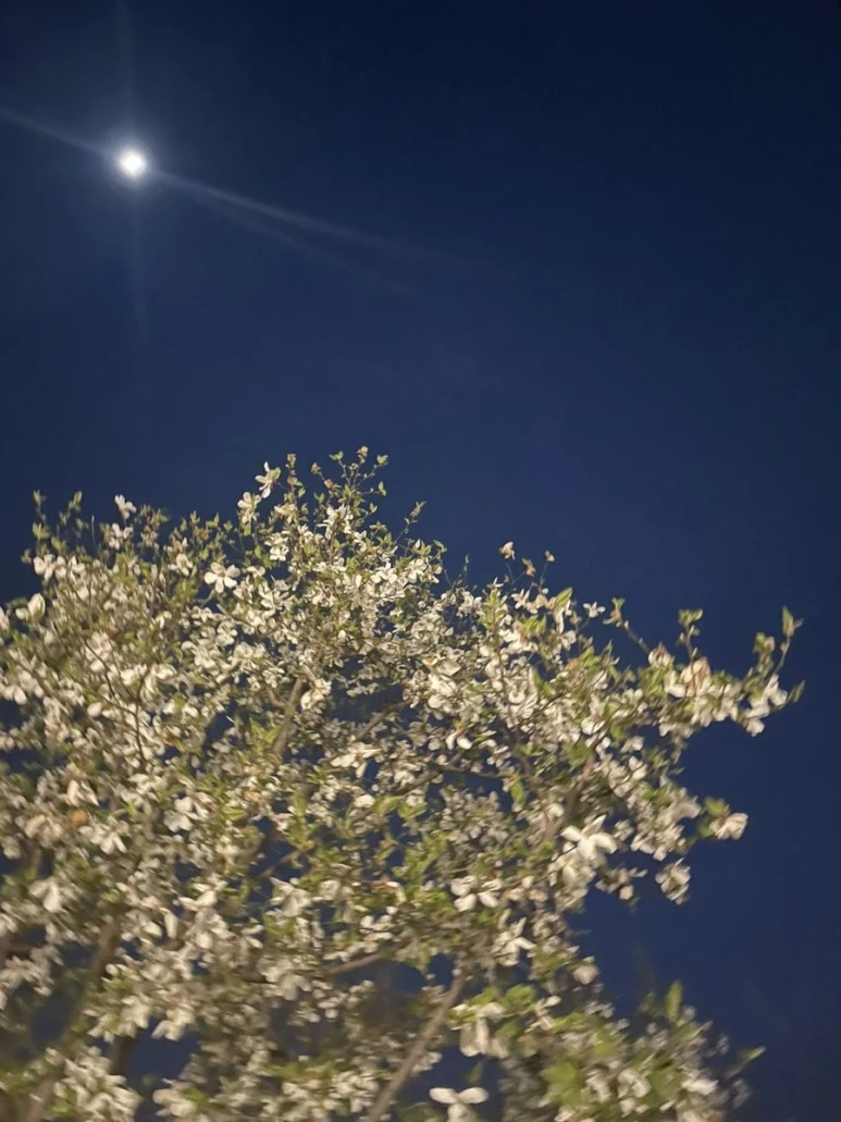 IMG_3754.jpg?type=w773