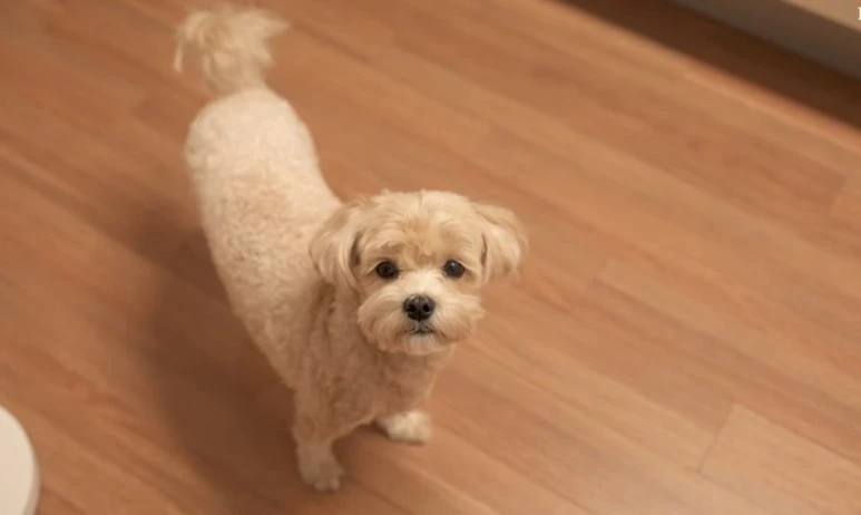 IMG_3554.jpg?type=w773