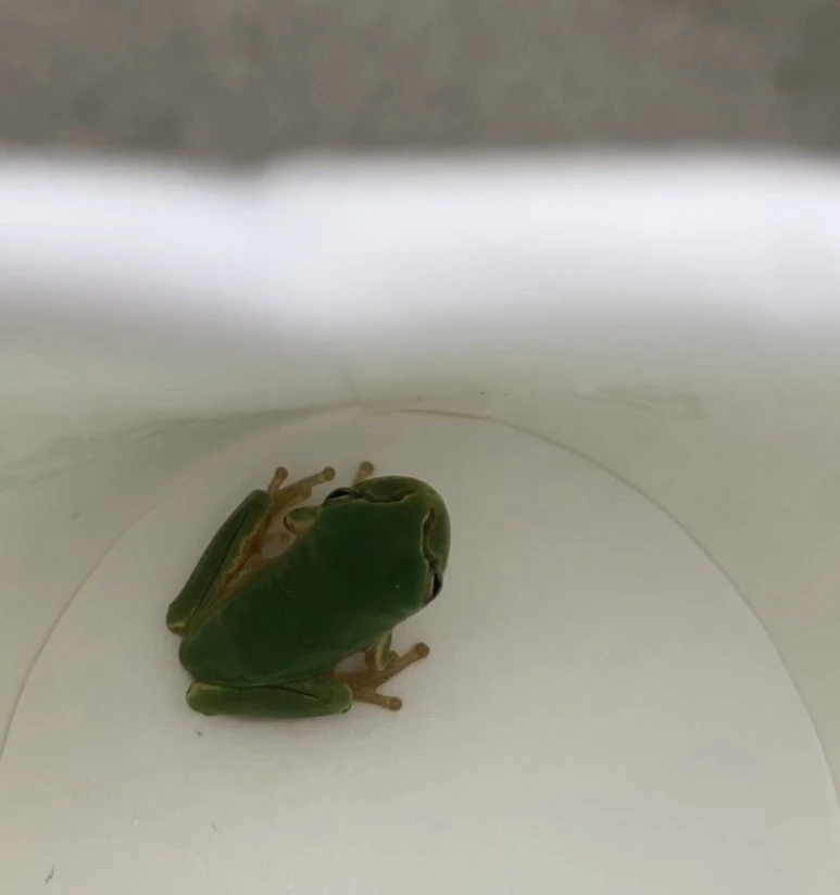 output_3455105228.jpg?type=w773