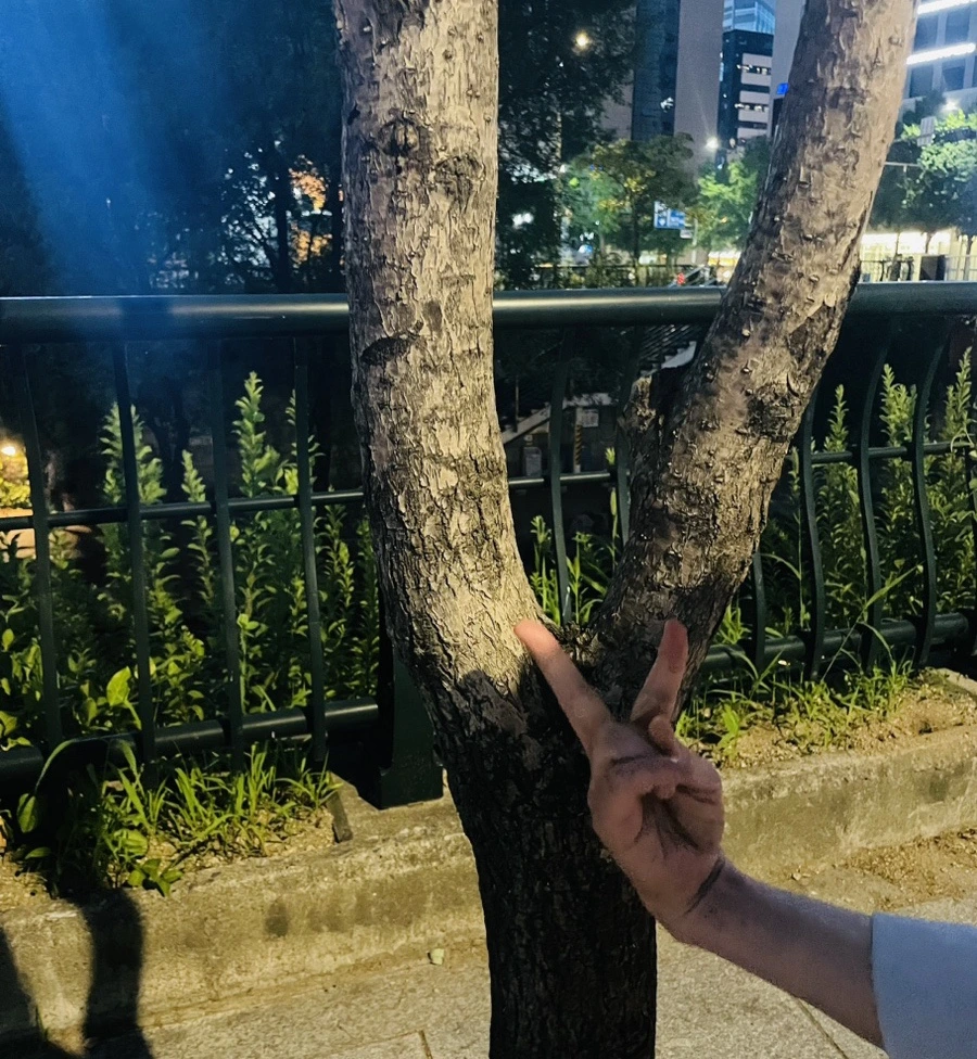 output_556515869.jpg?type=w1