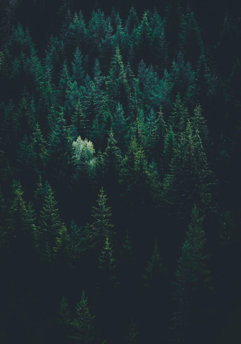 output_4137153247.jpg?type=w773