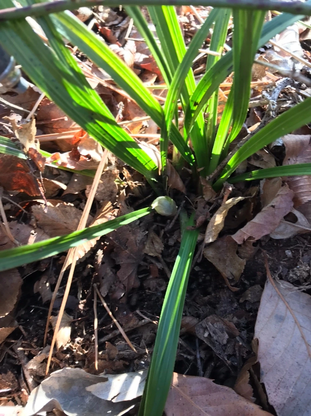 KakaoTalk_Photo_2024-02-22-07-17-43 004.jpeg