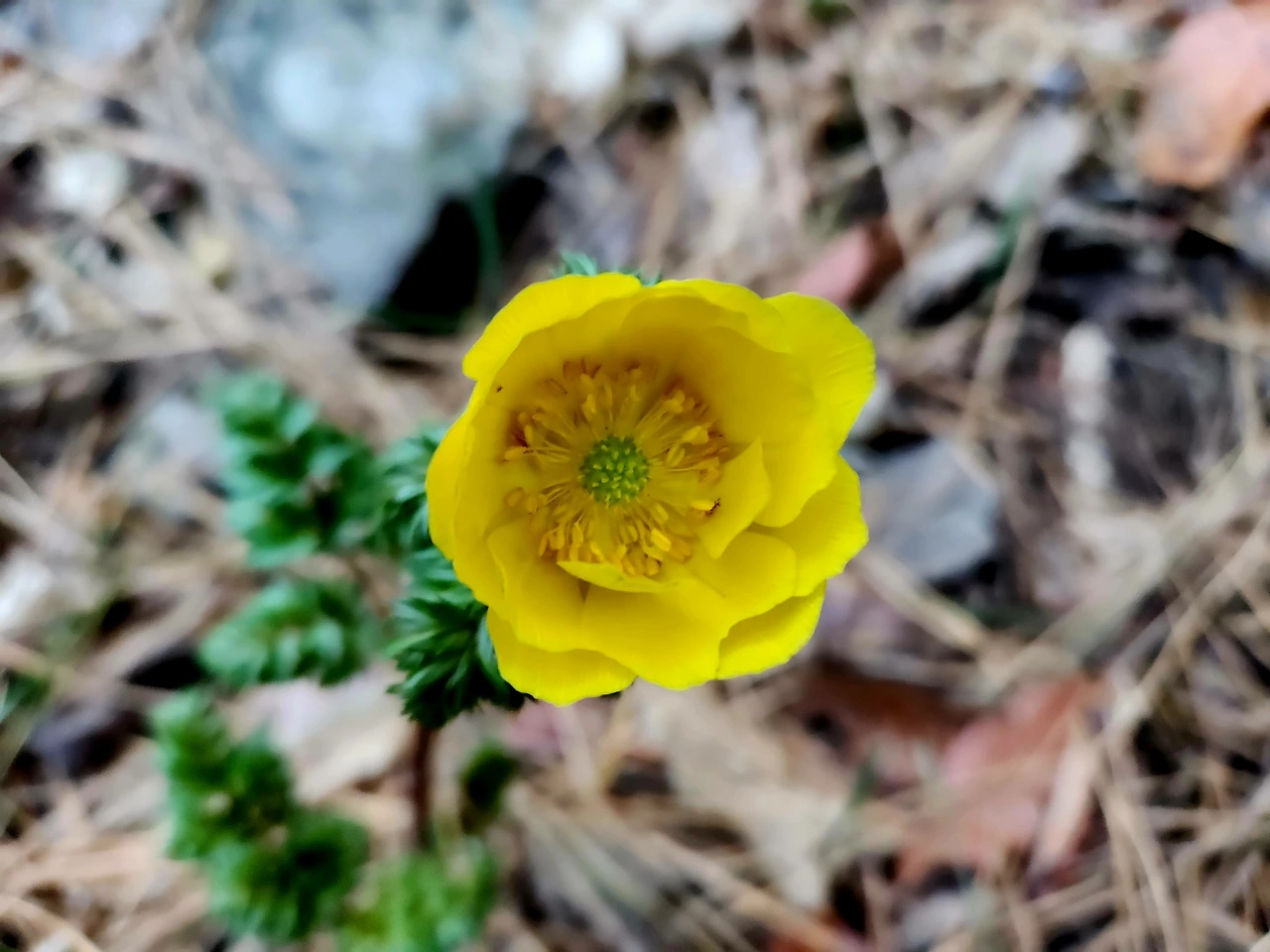 KakaoTalk_Photo_2024-02-22-07-17-43 007.jpeg