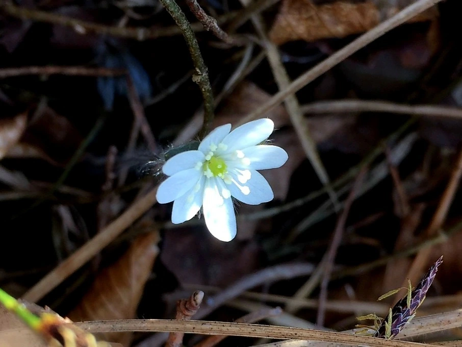 KakaoTalk_Photo_2024-02-22-07-17-43 002.jpeg