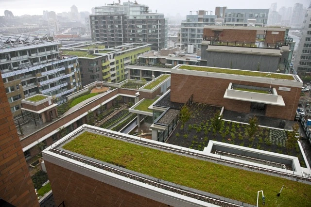 7120091014.jpg?1261594844