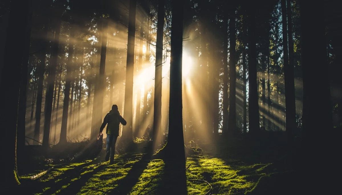 콜럼버스 살인마 개척자 탐험가 지배자 (1).jpeg