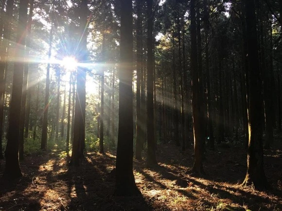 14693733_1213078185405190_584085002153623552_n.jpg?type=w580