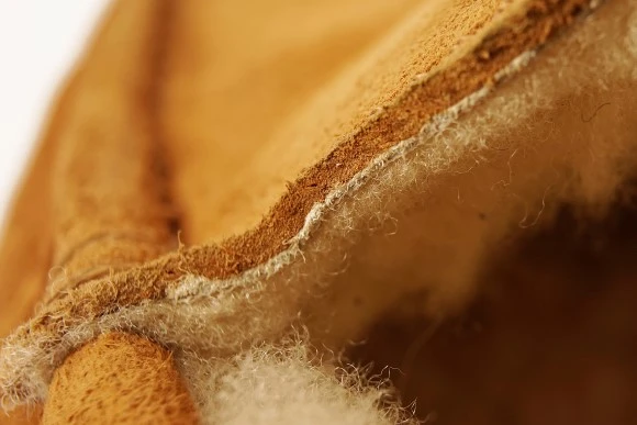 reDSC06265.jpg?type=w580