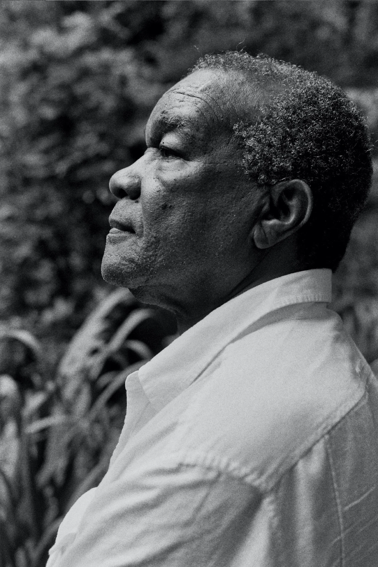 LAH-DCD_3.jpg?w=1333