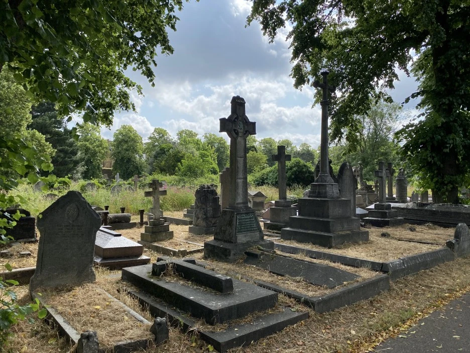 IMG_0142.jpg?type=w1