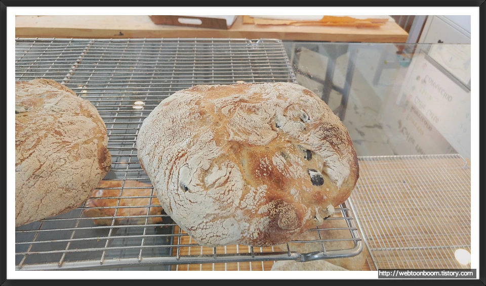 9908C43359ACA7E909E295