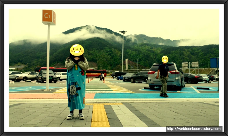 99F93C3B5AF255912D07E7