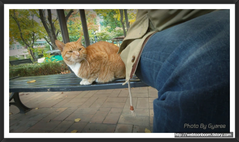 99FD04365BD69D122FB461