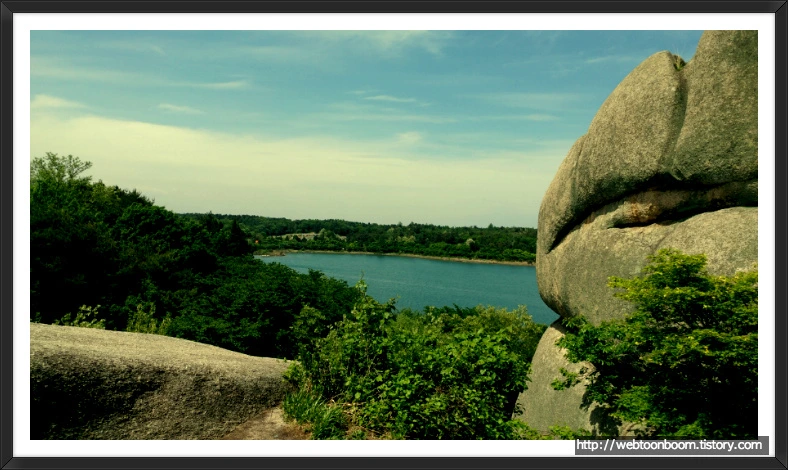 9910E8475AF2852A143B49