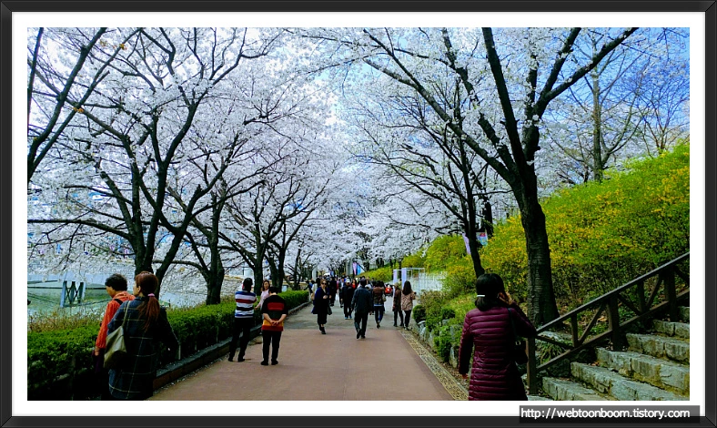 99E76F455AC457051646DA