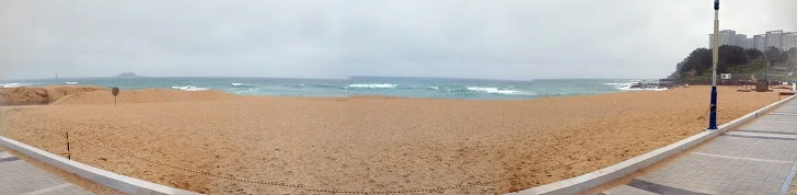 9954CE3D5AF29582016B14