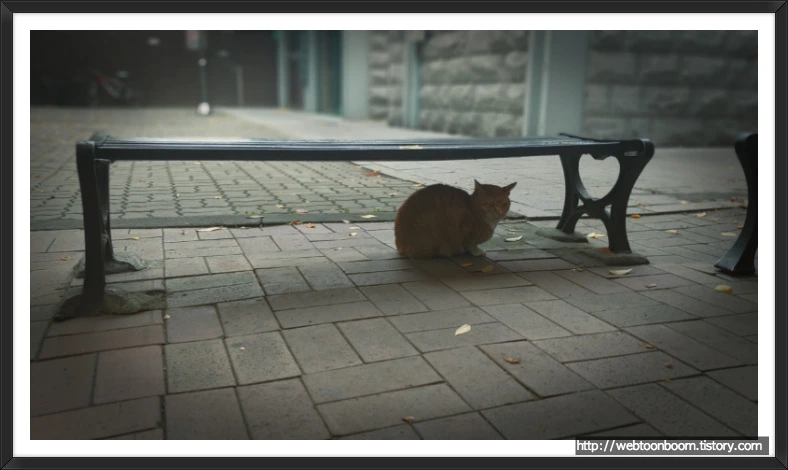 994767365BD69D102C4CAF