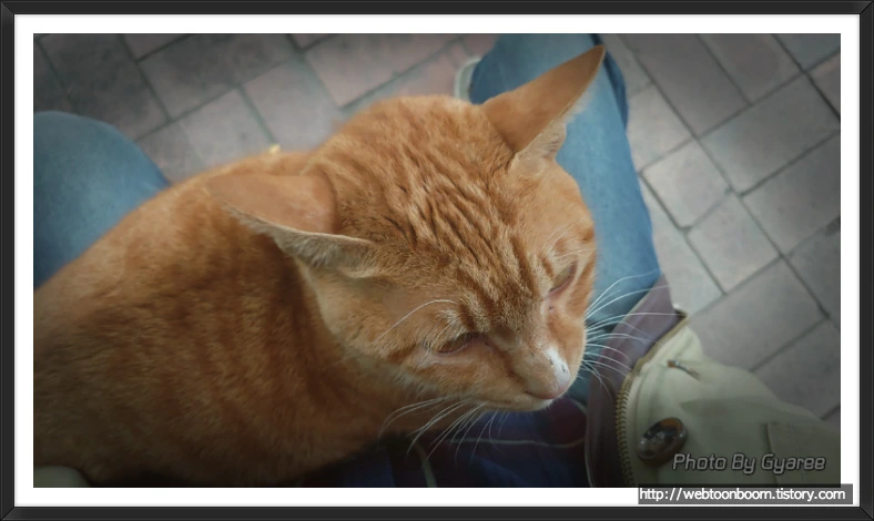 99C9CA365BD69D11257D84