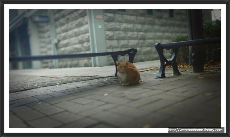 997B23365BD69D13355824