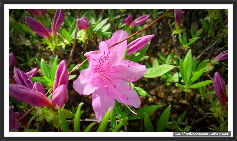 992538365ACF1D9B1E1DC1