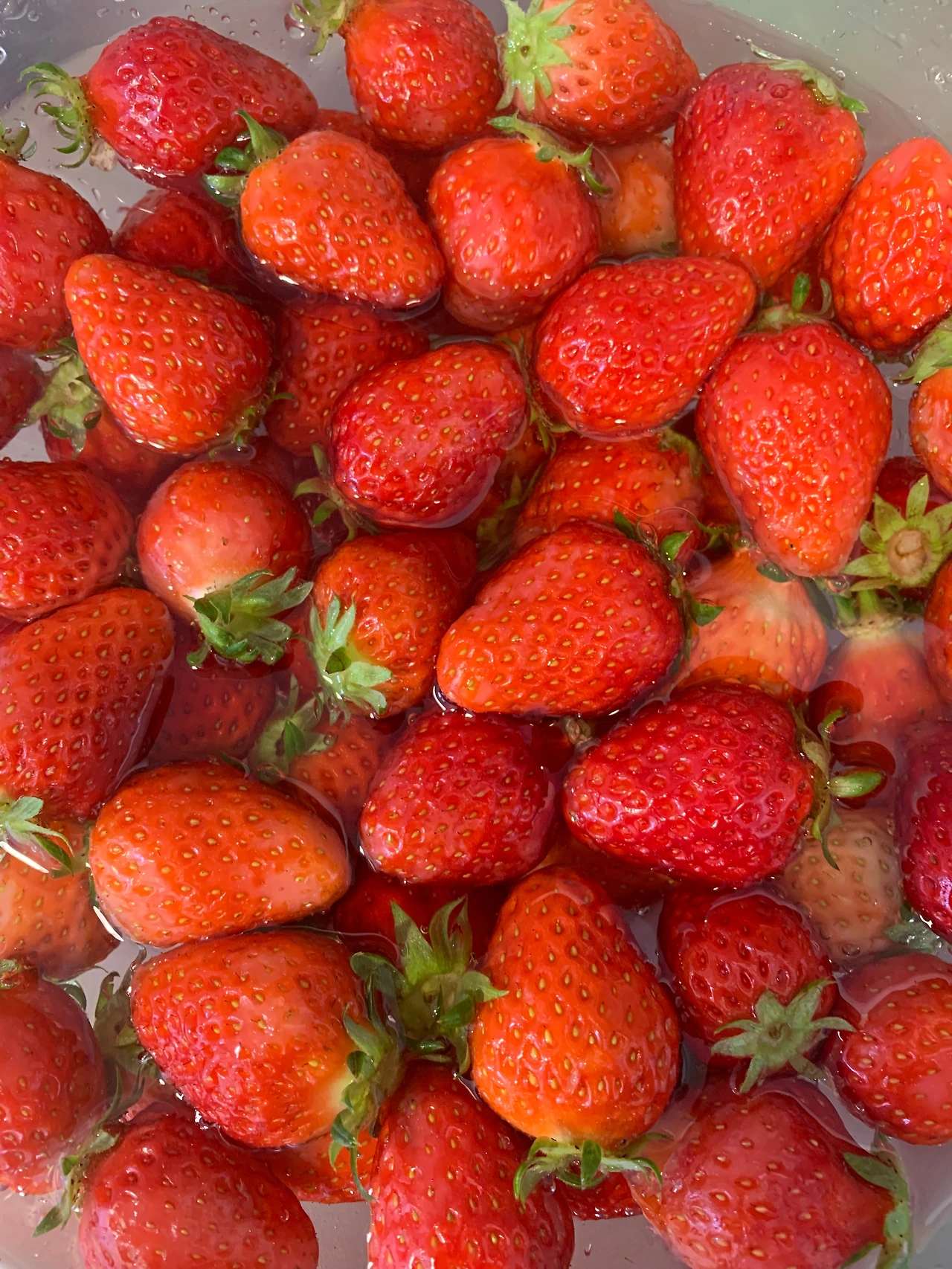 KakaoTalk_Photo_2024-08-01-21-49-31 001.jpeg