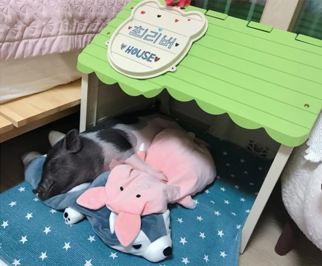 0000026323_002_20190304110401334.jpg?type=w647