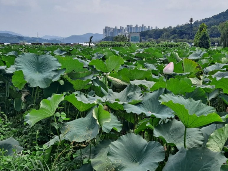 20230815%EF%BC%BF125850.jpg?type=w773