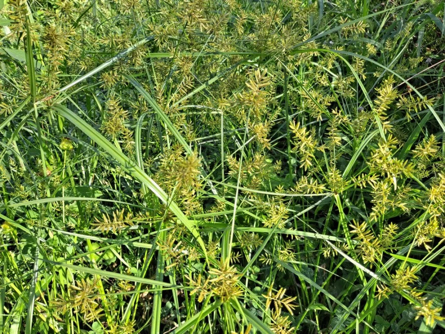 20210905%EF%BC%BF080904.jpg?type=w1